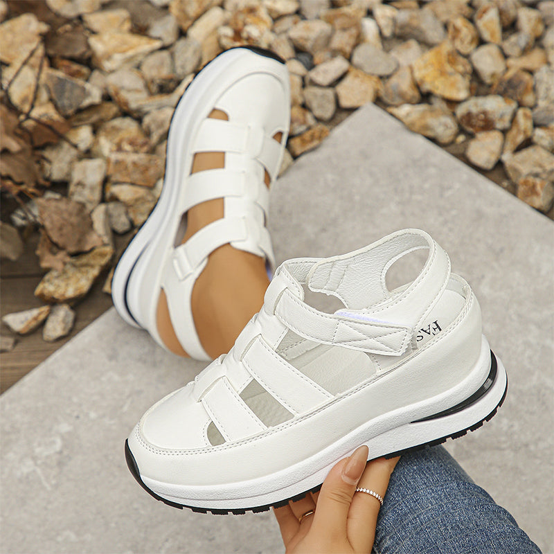 Women's Elegant & Comfortable Sneakers