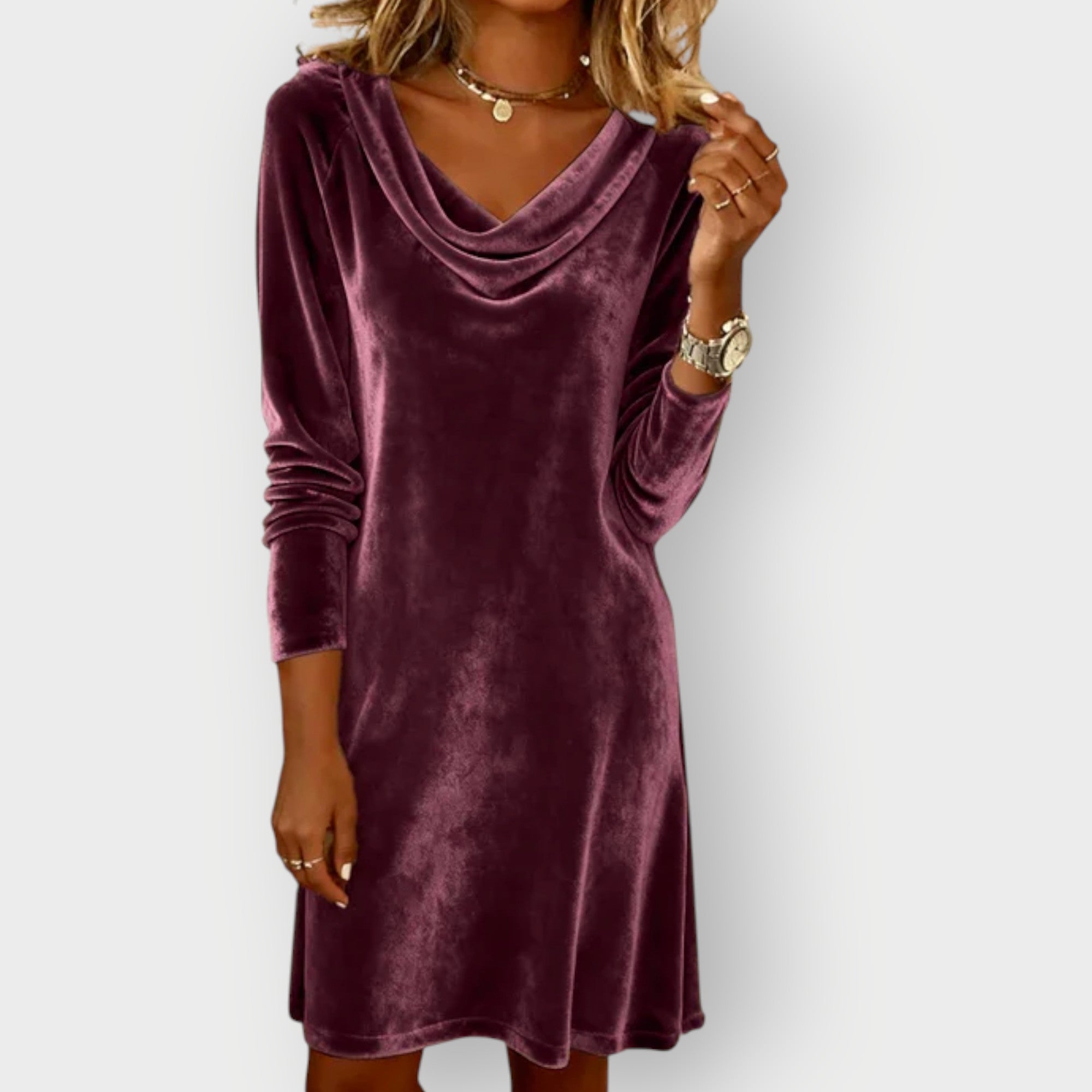 Women's Elegant Velvet Dress