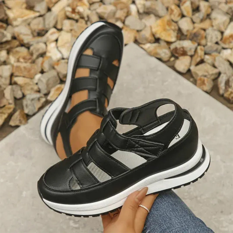Women's Elegant & Comfortable Sneakers